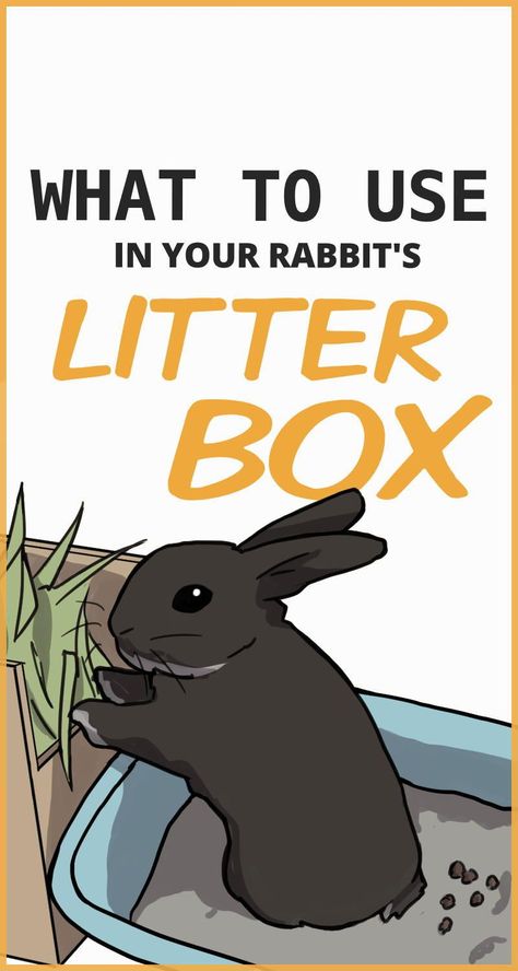 Rabbit Litter Box Ideas Diy, Diy Rabbit Bed, Bunny Litter Box Ideas Diy, Rabbit Litter Box Ideas, Bunny Litter, Rabbit Needs, Bunny Litter Box Ideas, Rabbit Set Up Indoor, Rabbit House