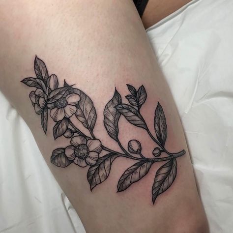 Tea plant by @inkbrambles at @blackoaktattoo in Chicago  IL. . #tattoosnob #tattoo #tea #chicago #chicagotattooartist Tea Leaves Tattoo, Tea Tattoos, Tokyo Tattoo, Green Tea Plant, Medium Size Tattoos, Tea Tattoo, Leaves Tattoo, Tea Plant, Plant Tattoo