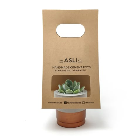 The Asli Co. | Handmade Succulent Pots Pot Packaging, Orang Asli, Kaktus Dan Sukulen, Packaging Template Design, Christmas Calligraphy, Seed Packaging, Craft Packaging, Cement Pots, Succulent Gifts