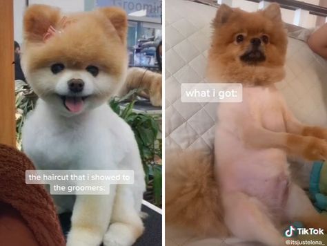 What I Wanted Vs What I Got, What I Ordered Vs What I Got, Haircut Fails, Cooking Humor, Extremely Funny, Expectation Vs Reality, Funny Fails, What I Want, Funny Stories