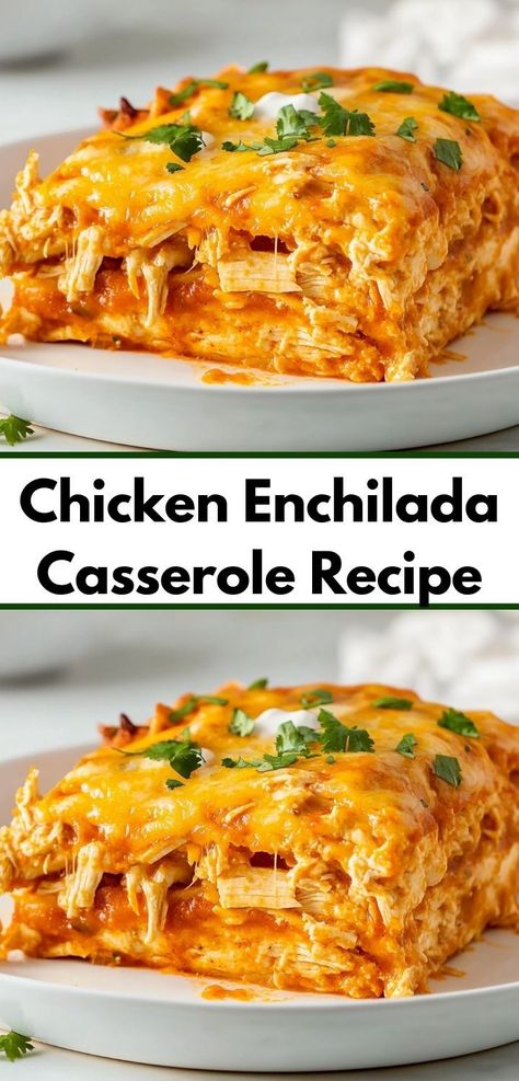 Need a crowd-pleaser for your next gathering? Discover the delightful layers of this Chicken Enchilada Casserole, packed with tender chicken and zesty sauce. It's a fantastic option for family-friendly dinner recipes. Easy Chicken Enchilada Casserole, Chicken Enchilada Casserole Recipe, Yummy Casserole Recipes, Cheesy Chicken Enchiladas, Enchilada Casserole Recipes, Chicken Enchiladas Easy, Chicken Enchilada Casserole, Beef Enchiladas, Enchilada Casserole