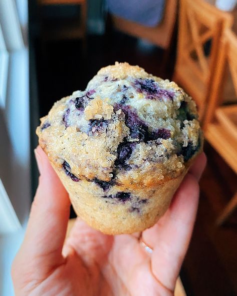 Single-serving Blueberry Muffin - Mini Batch Baker Jumbo Blueberry Muffins, Single Serve Breakfast, Bakery Style Blueberry Muffins, Vegan Fries, Strawberry Rhubarb Crisp, Moist Muffins, Vegan Muffins, Lemon Blueberry Muffins, Blueberry Muffin