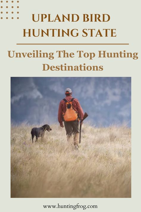 Upland Bird Hunting State Upland Bird Hunting, Upland Hunting, Hunting Tips, Bird Hunting, Breathtaking Landscapes, Exciting News, The Top, Hunting, This Is Us