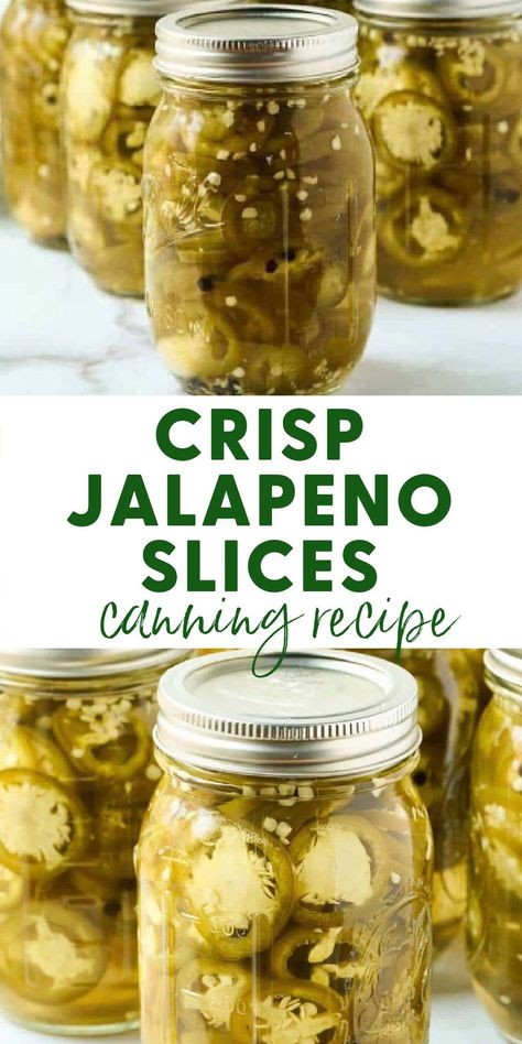 Crisp Pickled Jalapeno Slices Sweet And Spicy Canned Jalapenos, How To Can Pickled Jalapenos, Jalepeno Garlic Pickles, Hot Pickled Jalapenos, Crisp Pickled Jalapenos, Pickles Jalapenos Recipe Canned, Canned Pickled Jalapenos Recipe, Canned Pickled Jalapenos Canning Recipes, Pickling Jalapenos Recipe Canning