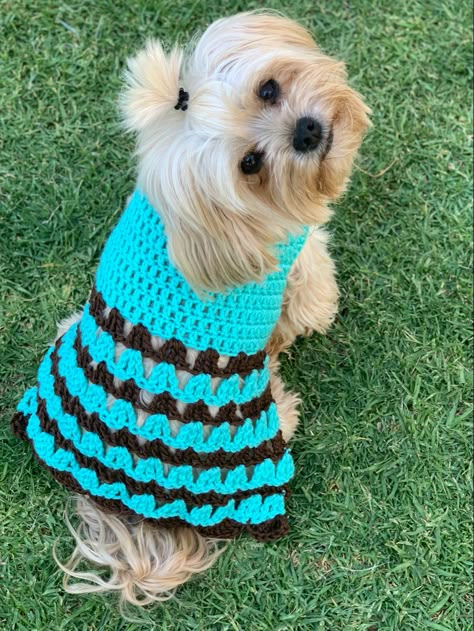 Crochet Dog Shirt Free Pattern, Crochet Dog Dress Free Pattern, Crochet Dog Stuff, Dog Dress Crochet Pattern Free, Crochet Dog Outfit, Crochet Dog Dress Pattern, Crochet Dog Dress, Free Crochet Dog Costume Patterns, Free Crochet Dog Dress