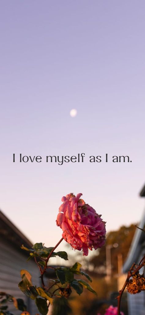 Just As I Am, I Am Her Aesthetic, I Am The Love Of My Own Life, I Love Who I Am, I Love Being Me, I Love Myself Quotes Beautiful Words, I Am Beautiful Wallpaper, I Love Myself Quotes Woman Inspirational, I Am Obsessed With Myself