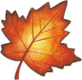 Autumnal Leaf How To Draw Fall Leaves, Leafs Drawings, Simple Leaf Drawing, Autumn Leaf Drawing, Fall Leaf Drawing, Autumn Leaves Drawing, Leaf Reference, Celeb Drawings, Leaf Drawing Easy