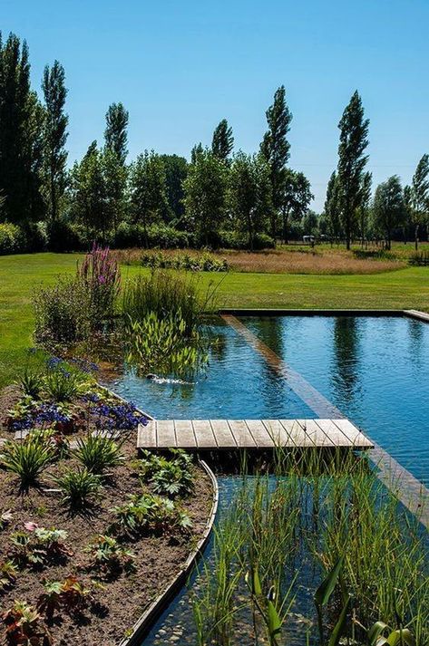 Outdoor Natural Pool, Swimming Ponds Backyard, Natural Pond Pool, Natural Pools Backyard, House On Pond, Natural Pools Backyard Swimming Ponds, Natural Pool Ideas, Ecosystem Pond, Organic Pool