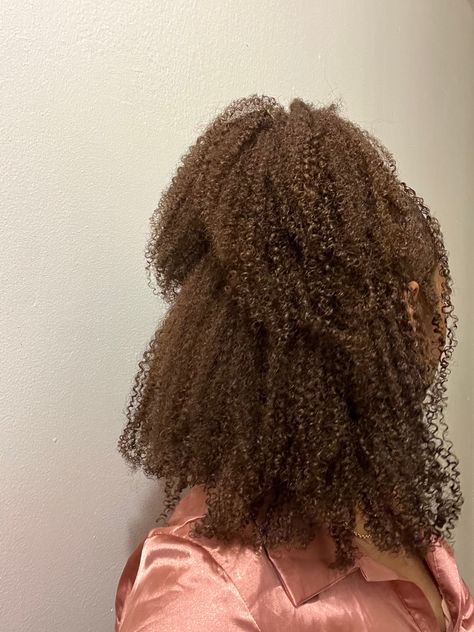 Type 4 Hair Dyed, Honey Brown Type 4 Hair, Type 4 Dyed Hair, Brown Type 4 Hair, Brown 4c Hair, Braid Out Natural Hair, Honey Brown Hair, Brown Hair Dye, Type 4 Hair