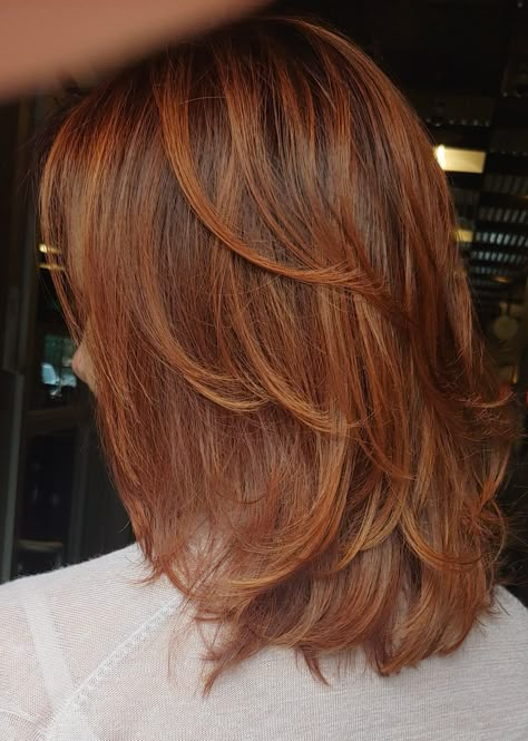 Highlights In Reddish Brown Hair, Caramel Highlights In Red Hair, Brown Orange Hair With Highlights, Ginger Brown With Highlights, Red Hair With Auburn Highlights, Light Brown Hair Red Highlights, Reddish Balayage, Brown Hair With Ginger Highlights, Ginger Highlights In Brown Hair