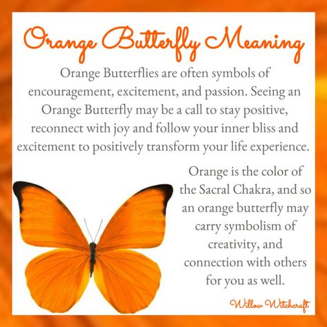 Butterfly Colors Meaning, Symbolism Of Butterflies, Butterfly Witchcraft, Orange Butterfly Tattoo, Butterfly Symbolism Meaning, Orange Butterfly Meaning, Butterfly Color Meaning Spiritual, Butterflies Meaning Spiritual, Orange Butterfly Meaning Spiritual