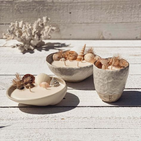 Immerse in the beachy aroma of fresh coconut blended with tantalizing pineapple, a summertime sensation! Experience the exquisite beauty of Saide's handcrafted Ceramic Seashell Candle bowl, adorned with a gold lustre rim. Re-use this eco-friendly ceramic as a homewares piece or can be used more practically as a food serving bowl once finished. We love a multi-purpose gift! Pearl Wax Candle, Ceramic Seashell, Western Candles, Australian Beaches, Pearl Wax, Surf Wax, Candle Bowl, Seashell Candles, Shell Candles