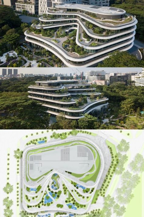 Office Building Plans, Office Design Concepts, Ideas For Small Apartments, Decorating Office, Curve Building, Biophilic Architecture, Singapore Architecture, Hotel Design Architecture, Terrace Building