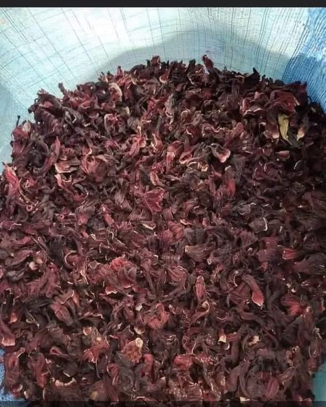 How To Make Hibiscus Tea: Hibiscus Tea Recipe In Simple Step Hibiscus Tea From Fresh Flowers, Hibiscus Tea How To Make, Hibiscus Flower Tea Recipe, Diy Hibiscus Tea, How To Make Hibiscus Tea From Flowers, Hibiscus Simple Syrup Recipe, Hibiscus Tea Recipe, Hibiscus Recipe, Hibiscus Tea Benefits