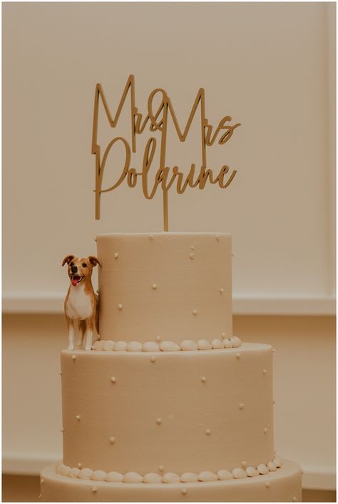 Simple and Modern Wedding Cake with Swiss Dot Design | Custom Pet Wedding Cake Topper | Dog Cake Topper | White Wedding Cake Inspo | Photo by Sydney Madison Creative Wedding Cake Pet, Wedding Cake With Dog, Wedding Cakes Dog, Wedding Cake Modern, Wedding Cake Topper Dog, Dog Wedding Cake, Dog Cake Topper Wedding, Reception Entrance, 3 Tier Wedding Cakes