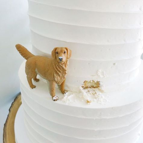 Cakes-Design-Kake-Darci Wedding Cakes Dog, Dog Cake Topper Wedding, Themed Wedding Cakes, 강아지 그림, Dog Cake, Future Wedding Plans, Cute Wedding Ideas, Dog Wedding, Dog Eating