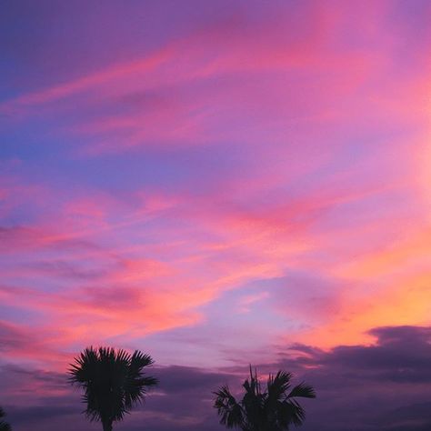 I’m ready for some cotton candy skies!! Animation Industry, Cotton Candy Sunset, Pink Hour, Colourful Sky, Pastel Skies, Pretty Nature Pictures, Home Sunset, Cotton Candy Skies, Cotton Candy Colors