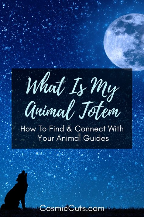 How To Find Your Spirit Animal, Animal Totem Pole, Witchcraft Resources, Animal Totem Spirit Guides, Find Your Spirit Animal, Totem Pole Art, Eagle Totem, Month Animals, Celtic Animals