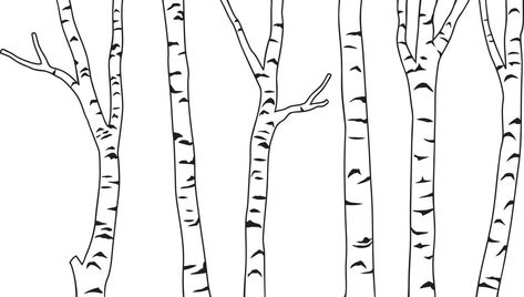 Birch Tree Drawing, Tree Trunk Drawing, White Birch Trees, Birch Tree, Tree Drawing, Art Lessons Elementary, Transparent Background, Vector Art, Art Lessons