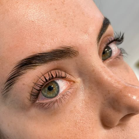 Natural Brow Lamination, Lamination Lashes, Eyelash Lift Aesthetic, Brow Lamination Aesthetic, Brow Lamination And Lash Lift, Tinted And Lifted Eyelashes, Eye Brow Lamination Aesthetic, Lash Appointment, Lash Lifts