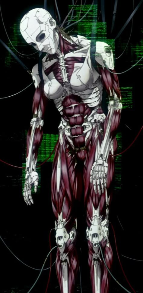 Tags: Anime, Koukaku Kidoutai GHOST IN THE SHELL, Kusanagi Motoko Cyberpsycho Cyberpunk, Cyberpsycho Art, Cybernetic Skeleton, Ghost In The Shell Aesthetic, Ghost In The Shell Wallpaper, Cyberpunk Android, Cyborgs Art, Arte Punk, Cyberpunk Anime