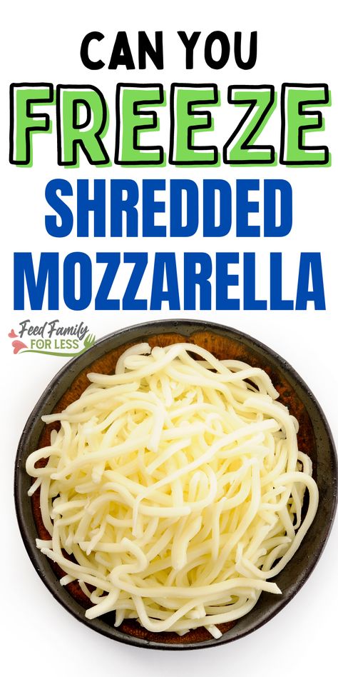 How to freeze shredded cheese. Tips for freezing cheese. How to save leftover cheese. How To Freeze Shredded Cheese, Freezing Shredded Cheese, Shredded Mozzarella Cheese Recipe, Recipes Using Shredded Mozzarella Cheese, Shredded Mozzarella Recipes, Freeze Cheese, Freezing Cheese, Cheese Recipes Dinner, Freezing Food Guide