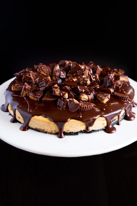 Chocolate Peanut Butter Cheesecake - Broma Bakery Cup Cheesecake, Cheesecake With Chocolate, Chocolate Cookie Crust, Peanut Butter Cup Cheesecake, Pumpkin Spice Cheesecake, Chocolate Peanut Butter Cheesecake, Broma Bakery, Butter Tarts, Chocolate Peanut Butter Cups