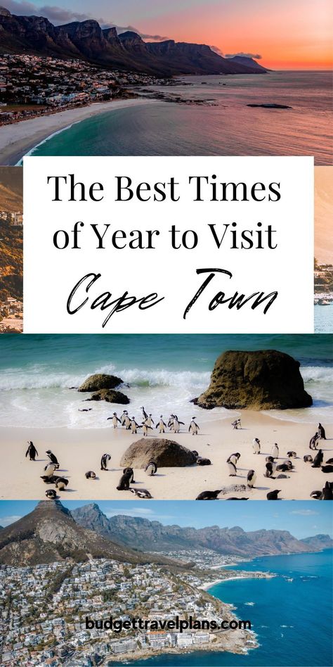 Looking for the best time to visit Cape Town? We’ve got your covered! Click through for our complete guide to when to plan your trip to Cape Town. When to go to Cape Town, Cape Town travel, South Africa travel Cape Town Honeymoon, Cape Town Bucket List, South Africa Trip, Cape Town South Africa Travel, Travel South Africa, Cape Town Africa, Africa Packing List, Cape Town Travel Guide, Capetown South Africa