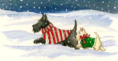 Christmas Scottie, Scotties Dog, Chrismas Cards, Scottie Terrier, Dog Christmas Card, Christmas Pics, Scottish Terriers, Scottie Dogs, Very Cute Dogs