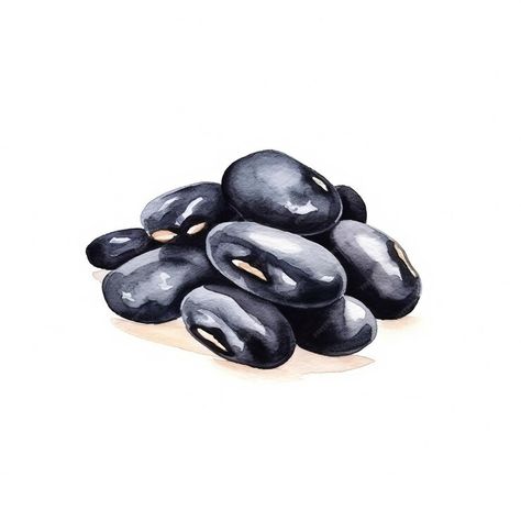 Premium Photo | Organic Black Beans Legumes Square Watercolor Illustration Beans Illustration, Black Beans, Premium Photo, Watercolor Illustration, Illustration Art, Nutrition, Stock Photos, Collage, Square