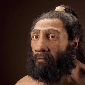 Homo neanderthalensis | The Smithsonian Institution's Human Origins Program Species Of Humans, Human Fossils, Molar Tooth, Tropical Africa, Early Humans, Human Evolution, Online Quiz, First Encounter, Animal Bones