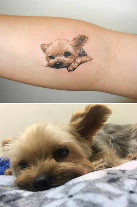 Yorkie Paw Print Tattoo, Ankle Dog Tattoo, Creative Dog Tattoo Ideas, Yorkie Dog Tattoo, Rat Terrier Tattoo, Pet Tattoo Ideas Dogs, Pet Tattoos Memorial, Dog And Cat Tattoo, Yorkshire Terrier Tattoo