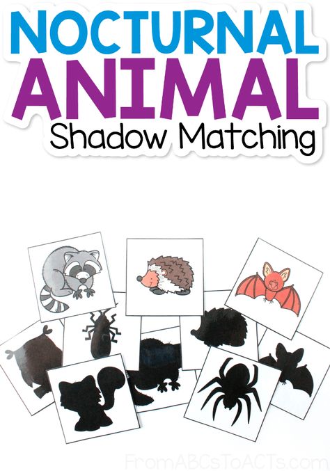 Learn about the animals that come out at night! Match the nocturnal animals to their shadows with this fun, printable matching game! #FromABCsToACTs Nocturnal Animal Math Activities, Night Animals Preschool Crafts, Nighttime Animals Preschool, Night Time Animals Preschool, Montessori Nocturnal Animals, Nocturnal Activities Preschool, Night Animals Activities, Nocturnal Animal Sensory Bin, Animal Shadow Matching Free Printable