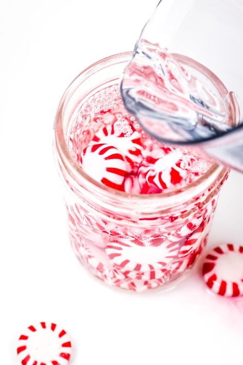 This Homemade Peppermint Vodka is a pure delight. Add it to hot cocoa for a boozy treat! Peppermint Moonshine Recipe, Peppermint Moonshine Drinks, Peppermint Vodka Drinks, Diy Infused Vodka Holiday Gifts, Peppermint Infused Vodka, Candy Infused Vodka, Fresh Cocktails, Copycat Drink Recipes, Peppermint Vodka