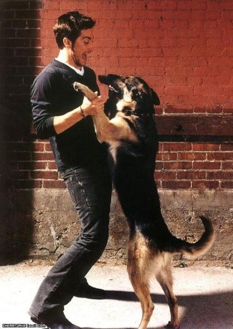 Jake Gyllenhaal Jake G, Celebrity Dogs, Man And Dog, Jake Gyllenhaal, Atticus, Christian Bale, Favorite Actors, Dear Lord, Heart Eyes