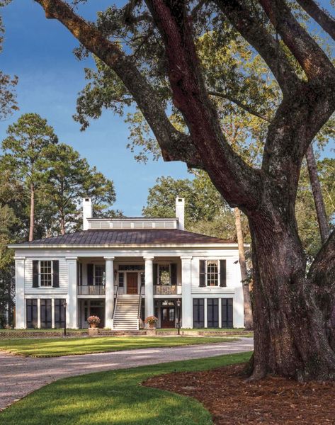 Old Southern Plantations, Georgia Islands, Georgia Style, Greek Revival Architecture, Southern Mansions, Southern Plantations, Georgia Homes, Greek Revival, Ben Affleck