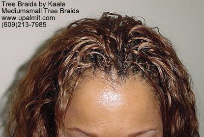 All Types of Tree Braids- Curly, Straight, and Wavy Treebraids With Human Hair, Treebraids Hairstyles, It Girl Hair, Tree Braids Hairstyles, Track Hairstyles, Individual Braids, Tree Braids, Hair Relaxers, Single Braids