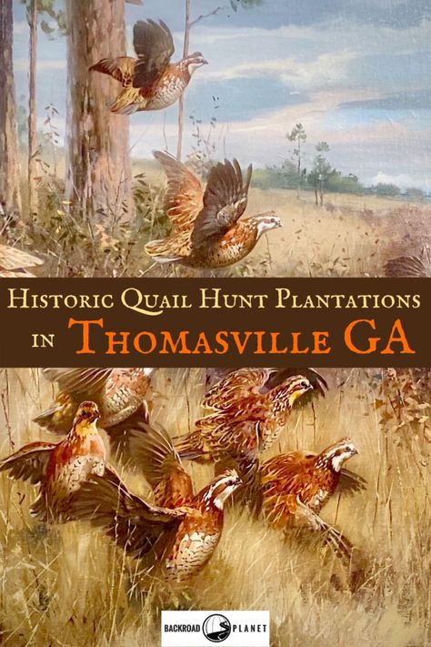 Explore a country estate, tour a Neoclassical mansion, and plan special events at two historic quail hunt plantations in Thomasville, Georgia, USA. #travel #TBIN #ExploreGeorgia #thomasvillega via @backroadplanet Antique Places, Neoclassical Mansion, Thomasville Georgia, Presque Isle State Park, Thomasville Ga, Southern Usa, Quail Hunting, Arizona Road Trip, Georgia Travel