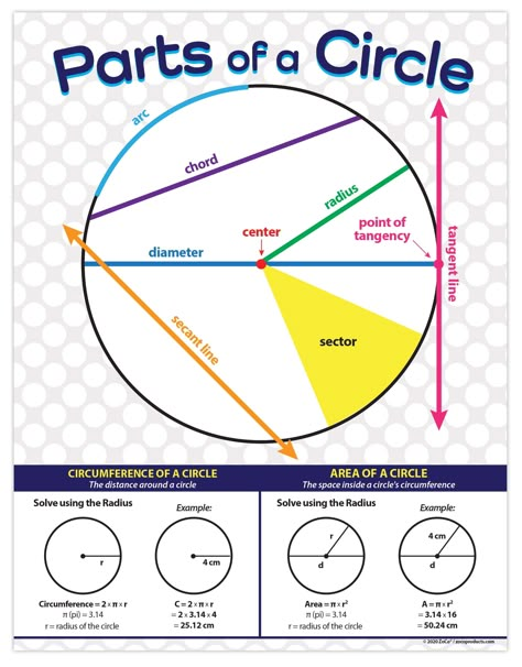 Math Posters Middle School, Circle Worksheet, Geometry Circle, Math Anchor Chart, Parts Of A Circle, Types Of Angles, Math Posters, Teaching Posters, Circle Math