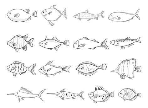 Scribble Doodles, Illustration Fish, Fish Drawing, Poster Presentation Template, Drawing Clipart, Drawing Vector, Fish Drawings, Photoshop Plugins, Cute Illustrations