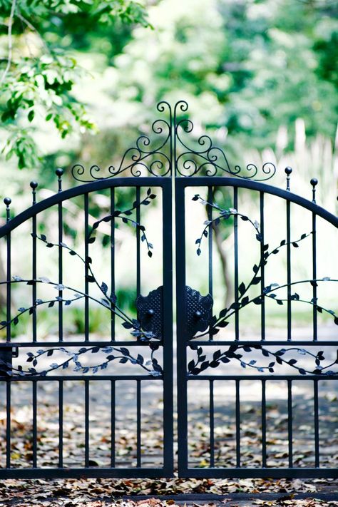 Garden Gate Ideas, French Gates, Secret Garden Door, Gate Pictures, Wrought Iron Garden Gates, Emerald Green Arborvitae, Creeping Vines, Garden Gates And Fencing, Yard Gate