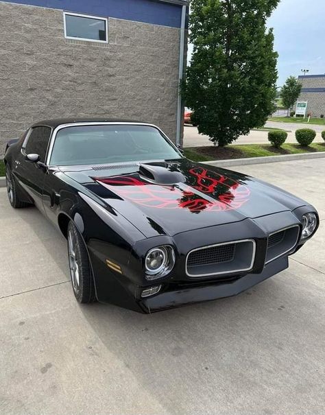 1978 Pontiac Trans Am, 70s Muscle Cars, Pontiac Trans Am, Pontiac Firebird Trans Am, Vintage Muscle Cars, Firebird Trans Am, Vintage Muscle, Trans Am, Pontiac Firebird