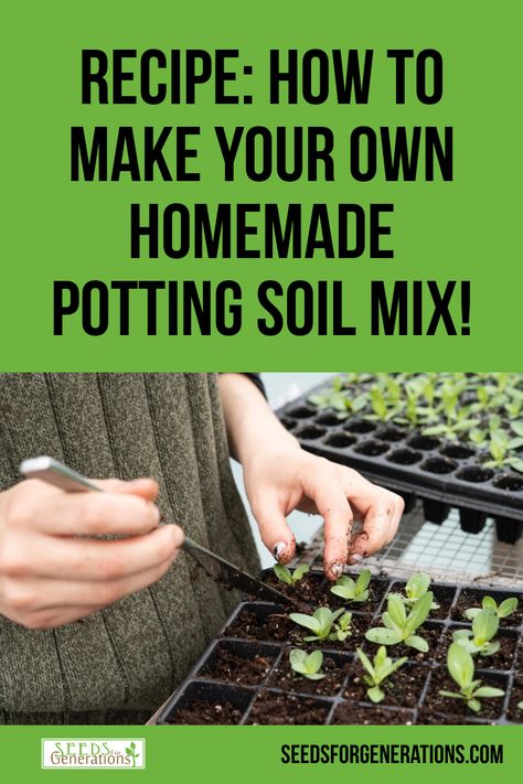 Soil Recipe, Living Off Grid, Vegetable Garden Diy, Gardening Techniques, Herb Gardening, Peat Moss, Soil Improvement, The Suburbs, Off Grid Living