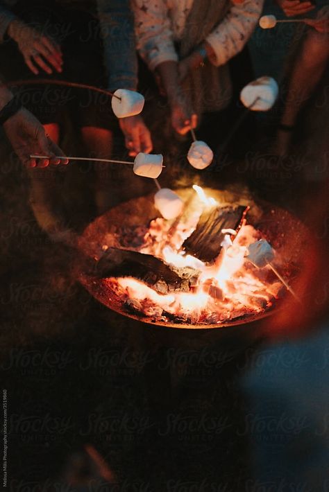 friends roasting marshmallows in the outdoors Finger Food Christmas, Party Appetizers Christmas, Party Snacks Christmas, Finger Foods Christmas, Party Food Ideas Christmas, Appetizers Christmas Party, Christmas Party Desserts, Christmas Party Foods, Christmas Party Recipes