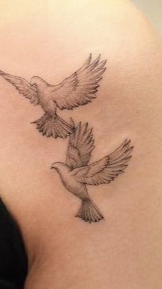 Dove Tattoo Ideas, Small Dove Tattoos, Shoulder Tattoos For Females, Pigeon Tattoo, Front Shoulder Tattoos, Dove Tattoo Design, Dove Tattoos, Tato Minimal, Shoulder Blade Tattoo