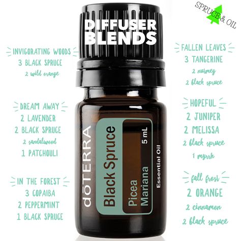 Doterra Black Spruce, Adaptiv Diffuser Blend Doterra, Black Spruce Diffuser Blends, Doterra Black Spruce Diffuser Blends, Elevation Diffuser Blend Doterra, Doterra Cypress Diffuser Blends, Black Spruce Essential Oil, Doterra Cedarwood, Spruce Essential Oil