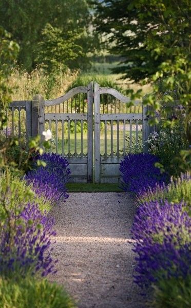 gate and symmetry of plantings Open Gate, Bohemian Garden, Cottage Gardens, Have Inspiration, The Secret Garden, Gorgeous Gardens, Garden Cottage, Country Gardening, Garden Gates