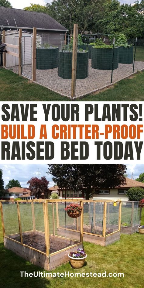 Protecting your garden from pests is essential for a thriving harvest. Learn how to build a critter-proof raised bed using the best fence barrier design and galvanized metal fence panels to keep unwanted visitors out. Explore different types of garden beds, discover raised beds garden ideas, and use companion planting and natural repellents to create a resilient, productive space. Get a FREE "101+ Garden Bed Layout Ideas" Ebook plus a FREE Garden Planner to start planning today! Galvanized Metal Fence, Garden Bed Layout Ideas, Bed Layout Ideas, Raised Beds Garden, Raised Bed Garden Ideas, Bed Garden Ideas, Free Garden Planner, Bed Layout, Garden Bed Layout