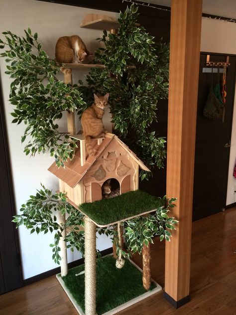 Adorable Cat Tree! I would love to make something like this! Aesthetic Cat Climbing Wall, Cat Tower Plans, Unique Cat Trees, Katt Diy, Cat Tree Designs, Katt Grejer, Chat Diy, Kat Diy, Cat Tree House