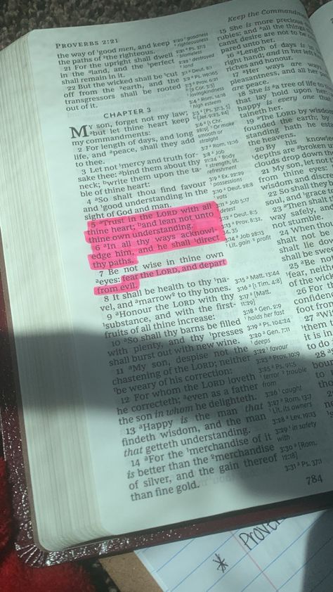 Highlighted Bible Verses, Highlighted Bible, Bible Highlights, Encouraging Scripture Quotes, Encouraging Bible Quotes, Comforting Bible Verses, Inspire Bible Journaling, Bible Verses About Love, Bible Study Notebook